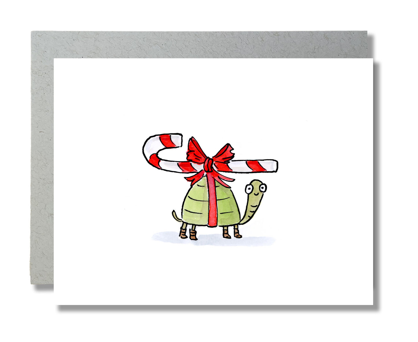 Winter - Holiday - Christmas Turtle