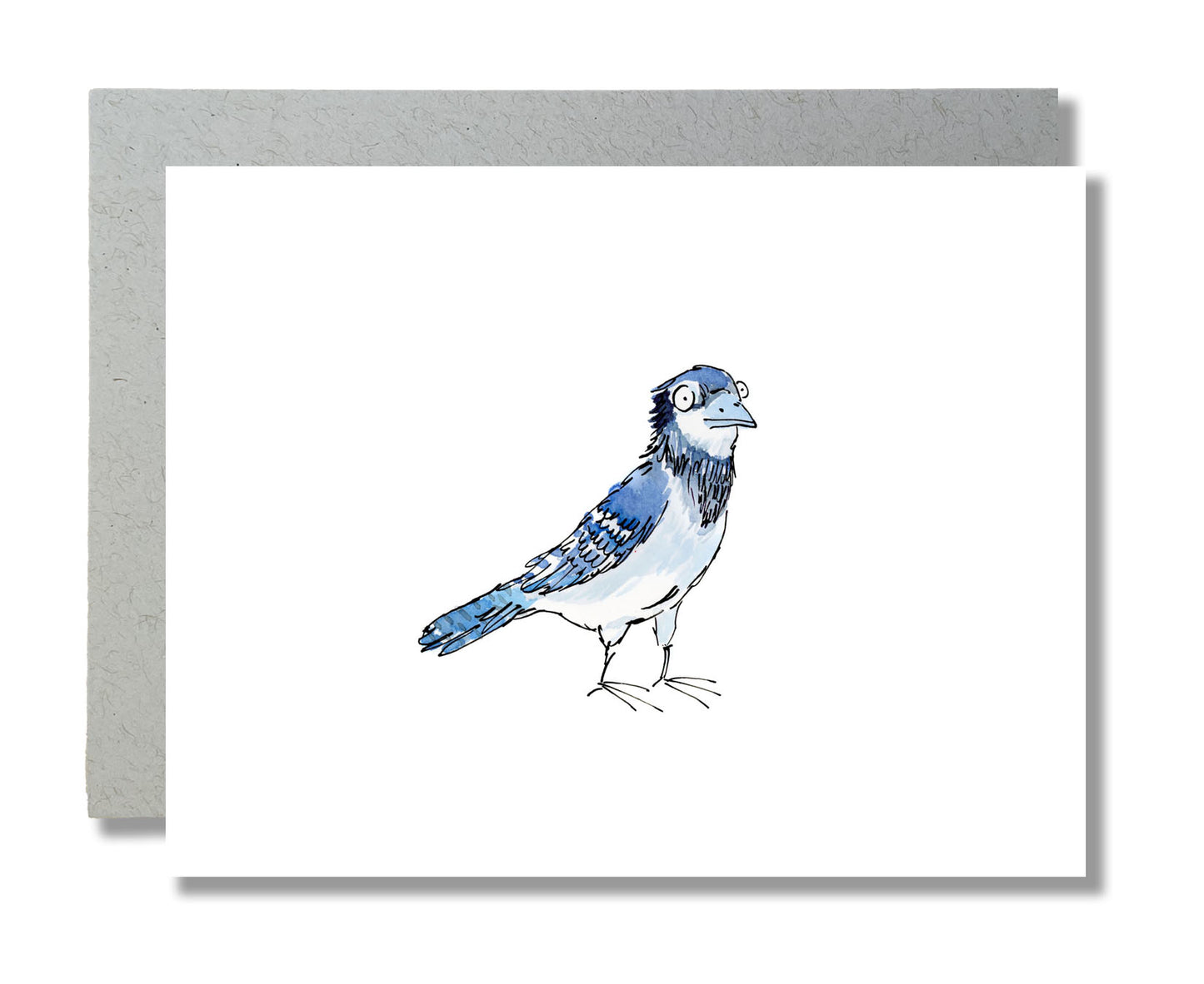 Any Occasion Card - Bird - Blue Jay